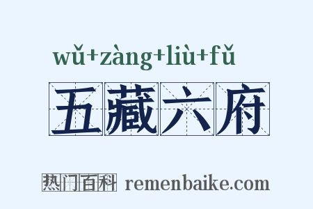 五藏六府是什么意思的图片